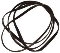 1884H5 1255028100 POLY-V-RIEMEN