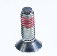 00067716 SCHRAUBE RIEMENSCHEIBE