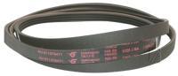 C00311078 481235818056 POLY-V-RIEMEN