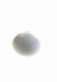 1525272108 FHRUNGSSCHIENE