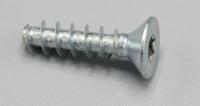 12001280 996530008024 TORX 10 5X20