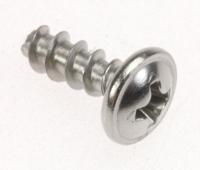 PLASTICSCREW(CAP4*10)INOX