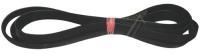 C00377954 481281728292 POLY-V-RIEMEN
