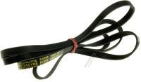 C00377967 481281728437 POLY-V-RIEMEN
