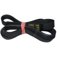 C00377949 481281728277 POLY-V-RIEMEN
