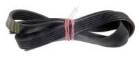 C00377958 481281728296 POLY-V-RIEMEN