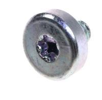 409827000 SCHRAUBE NACH ZEICHNUNG M5X6 T20 A3K