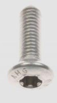 37000513 COUNTERSUNK HEAD BOLT M6X22 TORX INOX