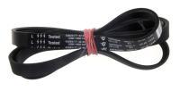 1234J5EL 42025177 POLY-V-RIEMEN ELASTISCH (1200/1400/1600 UMDREHUNGEN 32/40/42/47) MONTAGE