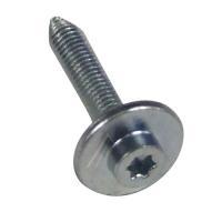 00170215 SCHRAUBE FLACHSCHARNIERVARIANTE
