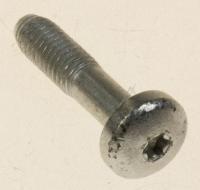 M5X30MM TORX 00169525 EINSTELLSCHRAUBE 2STK. 5X30 SELBSTSCHNEIDEND