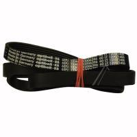 1236J6EL 42006396 POLY-V-RIEMEN ELASTISCH 6EPJ1236