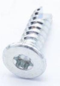 408291800 SPERRZAHN-SENKSCHRAUBE B 5,5X19AE4 5,