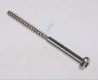 409818800 SPANPLATTENSCHRAUBE 5X69
