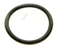 148509 DICHTRING