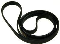 2816750200 C00880096 ELASTISCHER POLY-V-RIEMEN