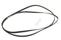 2951240100 C00864589 POLY-V-RIEMEN