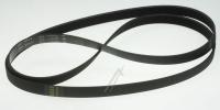 C00269096 482000086372 RIEMEN
