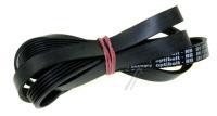 1210J5EL POLY-V-RIEMEN ELASTISCH