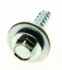 C00094744 482000078095 SCHRAUBE MOTOR/BOTTICH