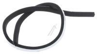 C00113860 482000028691 DICHTUNG BASIS RCKWAND