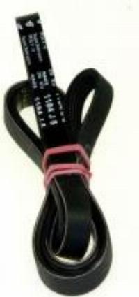 1184J5 POLY-V-RIEMEN/RIPPENBAND