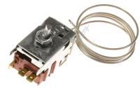 596215 THERMOSTAT