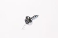 6009-001343 SCREW-SPECIAL,PH,TORX,,M4,L10,PASS