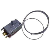 9002755485 C00876190 THERMOSTAT