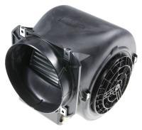 795210518 MOTOR