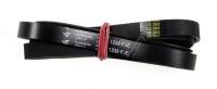 1239J5EL POLY V RIEMEN ELASTISCH