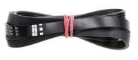 1236J5 POLY V RIEMEN ELASTISCH