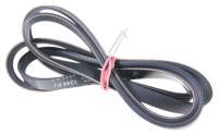 1244 J 4 POLY-V-RIEMEN
