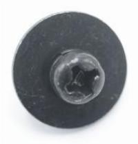 425639302 SCHRAUBE +PSW M3X6 W12 (KD-65S8505C/8005C)