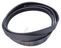 2466300201 C00864585 ELASTISCHER POLY-V-RIEMEN