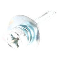 10009067 SCHRAUBE