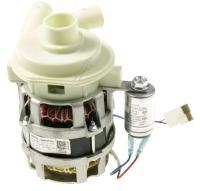 YXW50-2F-2(L) 11001010000002 MOTOR UMWLZPUMPE