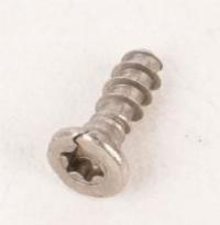 421940221121 SCHRAUBE TSP TORX 10 3X10 KUNSTSTOFF SS